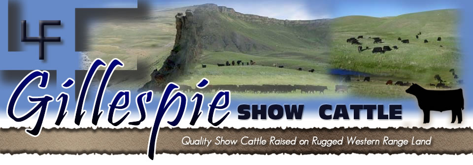 Gillespie Show Cattle, Ethridge MT